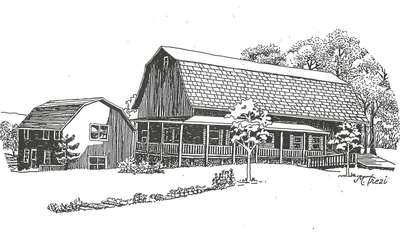 The South Glenora Tree Farm Bed & Breakfast Dundee Ngoại thất bức ảnh